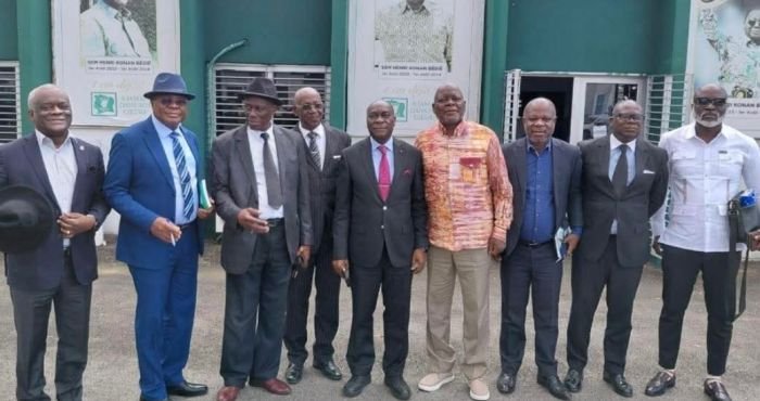 Côte d'Ivoire/Législatives du 27 décembre: Divergences au PDCI-RDA sur les conditionnalités de candidature 8 Le groupe IRS PDCI-RDA
