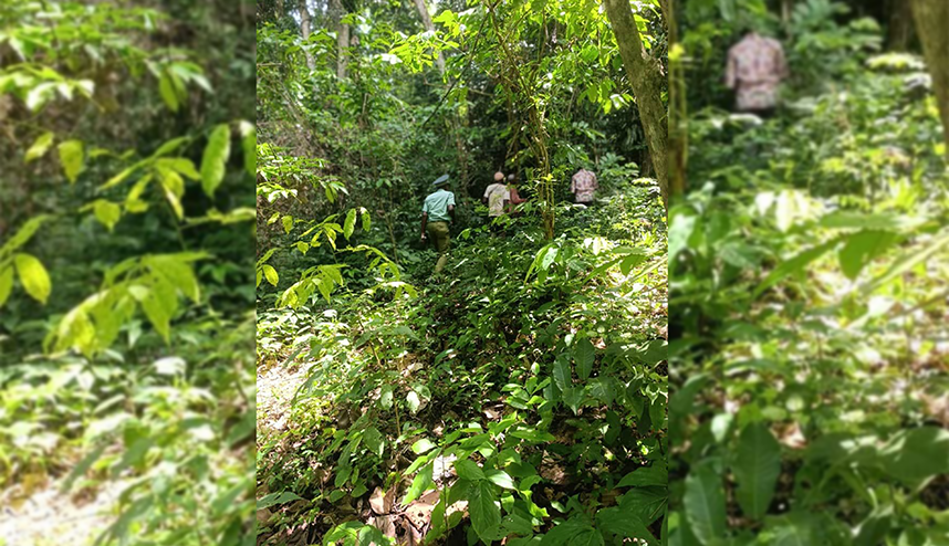 forets classes occupants